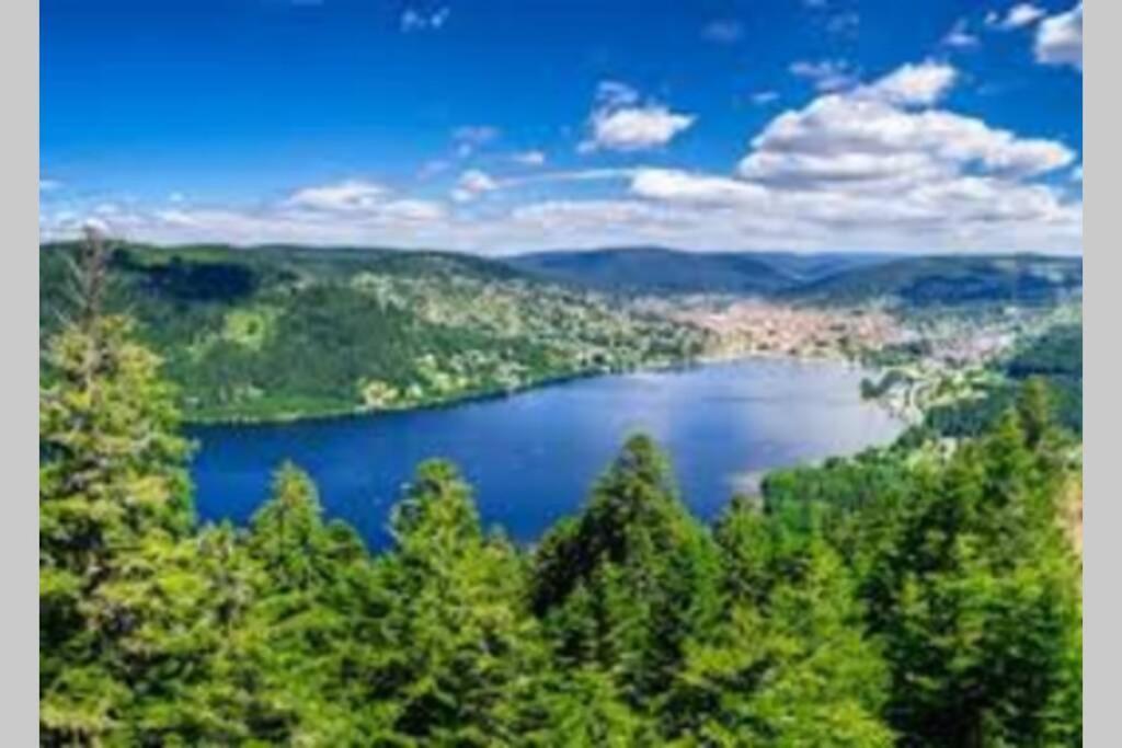 Superbe Appartement, Hypercentre Au Calme Avec Bain Balnéo Gérardmer
